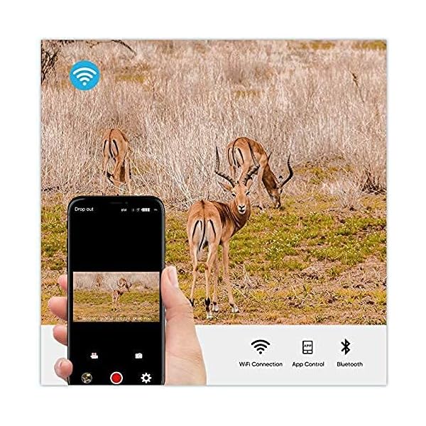 4K 30MP WLAN Bluetooth Wildkamera, APP Control 940nm No Glow Nachtsicht Aytarr Jagdkamera 0,3s 65ft Trigger 120 ° Wide… – Bild 6