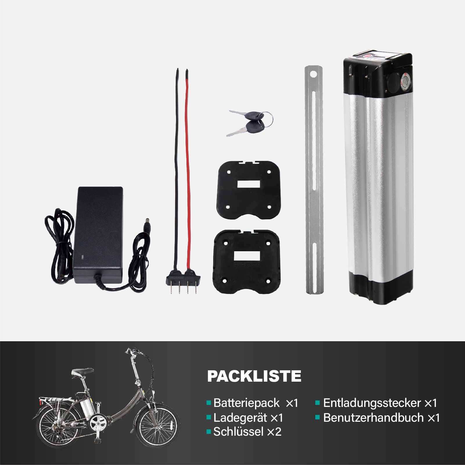 con Cargador 24 V 9 Ah E-Bike batería de Ion de Litio para Bicicleta eléctrica en Forma de AIT para Phylion, MiFa, Rex, Prophete (24 V9 Ah)