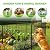 Toolterritary 10 Panels No Dig Garden Fence with Gate, 48in(H) x 26.0ft(L) Rustproof Metal Animal Barrier Fence, Outdoor Decorative Yard Fencing with Ground Stakes for Dogs, Rabbits, Patio