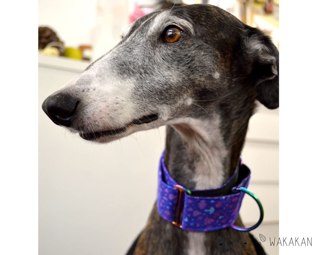 Collar Martingale Para Perro: Magical, Hecho a Mano en España por Wakakán
