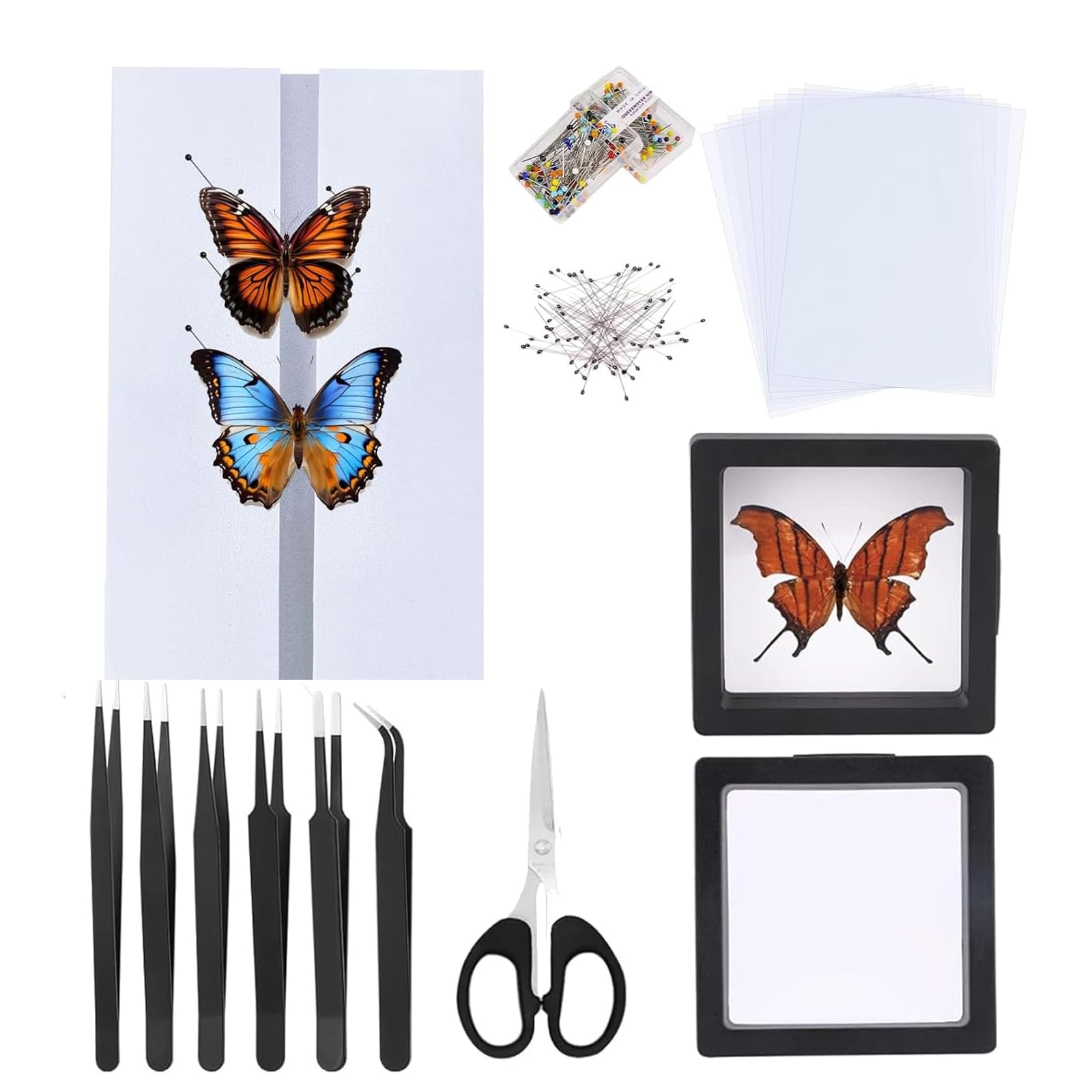 Making Butterfly Specimen kit Includes Needles, mounting Plates, 100 Insect Needles, 2 Suspension Boxes, Tweezers, Preservation and Display of Butterfly specimens. Ideal for Collectors and Educators