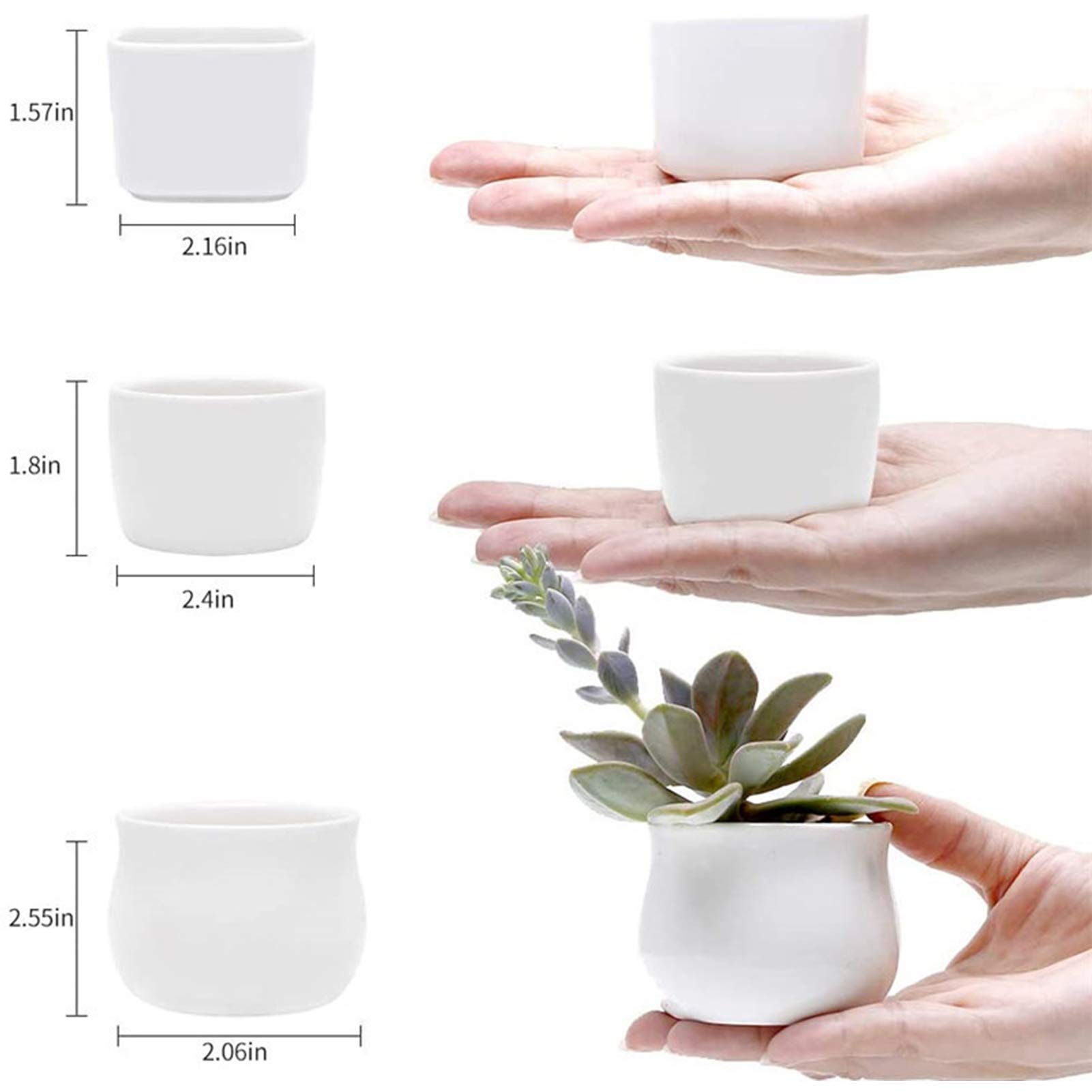 41-częściowy mini zestaw narzędzi ogrodniczych do sukulentów, bonsai i bajkowych ogrodów - narzędzia ręczne ze stali nierdzewnej, rękawice, przycinarka do liści, etykiety na