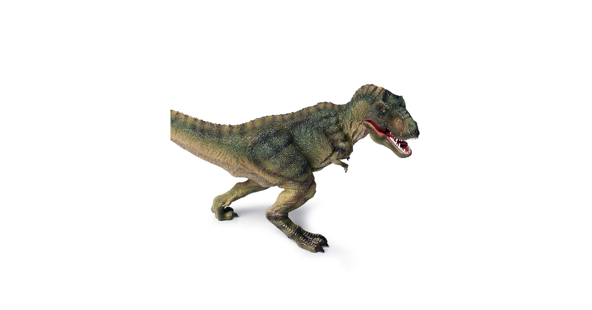 Amazon.co.jp: 15.7インチ ティラノサウルス レックス