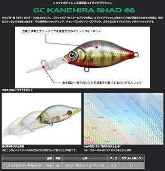 Amazon.co.jp: イッセイ(Issei) G.C.カネヒラシャッド 46MR-SP #07