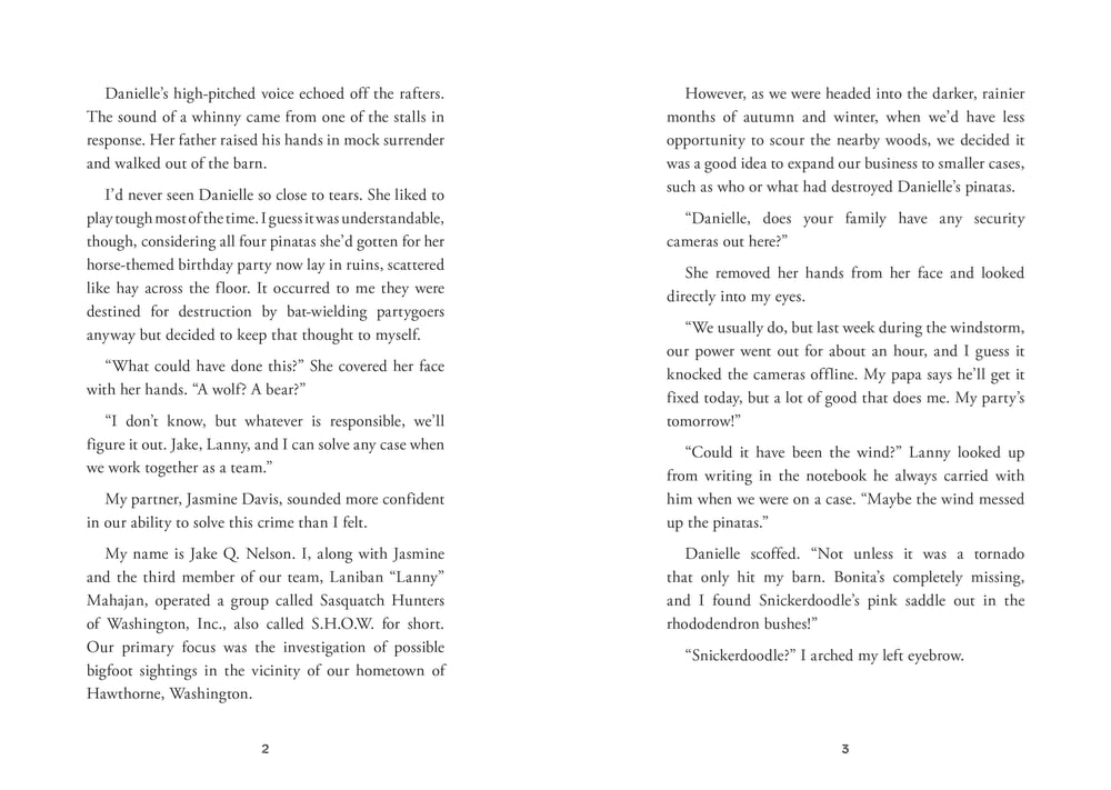 The Sasquatch of Harriman Lake (Sasquatch Hunters, Book #2) - Image 3