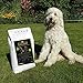 Canis Gold 10 kg Adult 60% Kaninchen | Monoprotein | getreidefreies Super Premium Hunde Trockenfutter | mit Grünlippmuschel