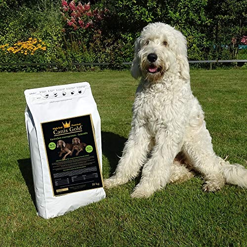 Canis Gold 10 kg Adult 60% Kaninchen | Monoprotein | getreidefreies Super Premium Hunde Trockenfutter | mit Grünlippmuschel