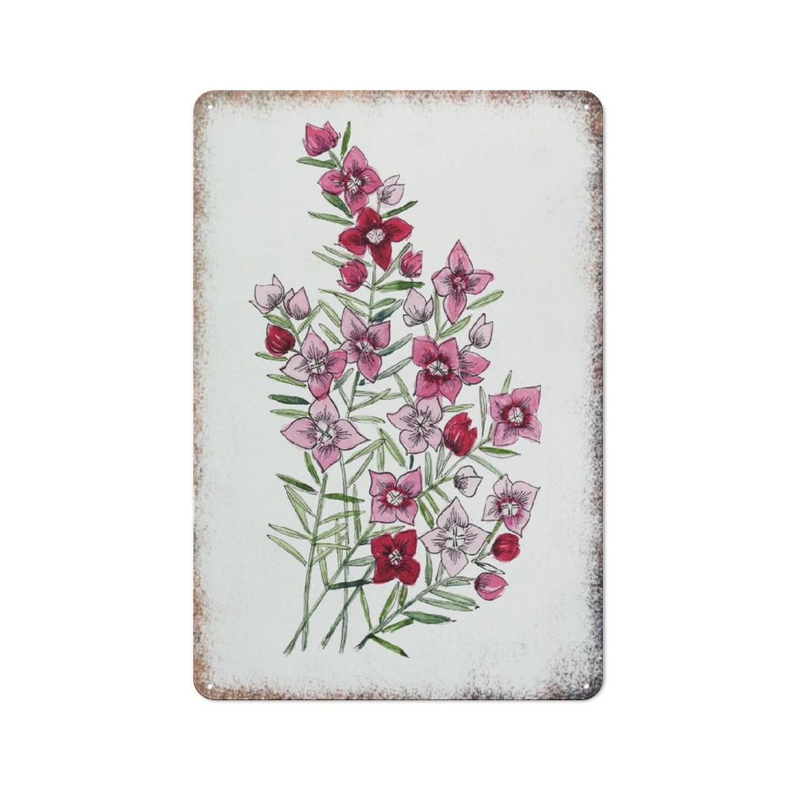 Boronia Native Floral Watercolor Metal Wall Art Vintage Decor Sign for Nursery Bedroom Outdoor Restaurant Cafe Bar 8x12 Inch