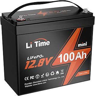 LiTime 12V 100Ah MINI LiFePO4 Lithium Battery, Upgraded 100A BMS, 10-Year Lifespan with Up to 15000 Cycles, Max. 1280Wh Energy LiFePO4 Battery in Small Size, Perfect for RV, Solar, Trolling Motor