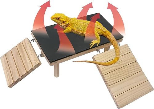 Gxsdj Bearded Dragon Basking Platform with Natural Slate Rock, Climbing Ramp and Hideout Cave for Lizards, Geckos