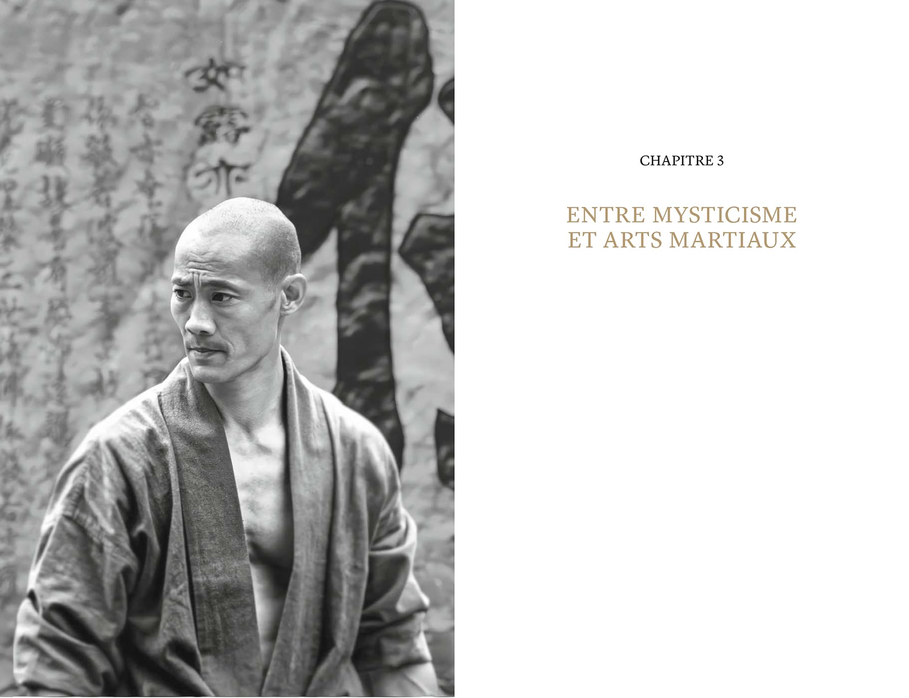 Shaolin Mind: Après Shaolin Spirit, découvrez les révélations spirituelles du grand maître Shaolin.