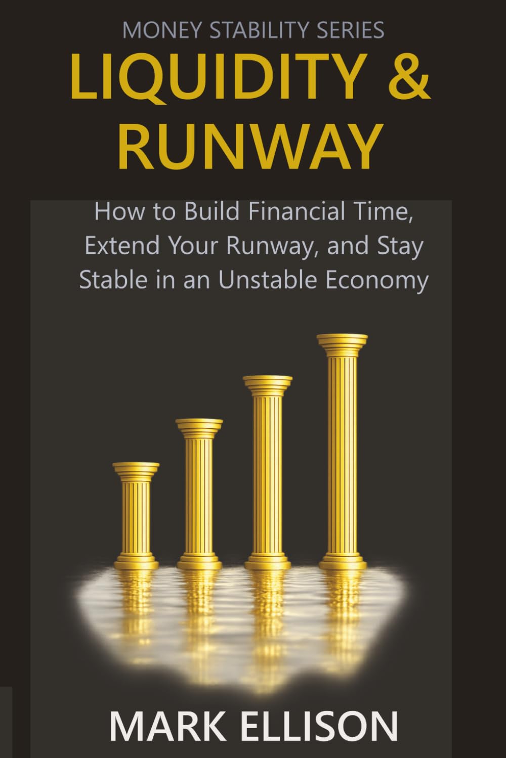 LIQUIDITY & RUNWAY: How to Build Financial Time, Extend Your Runway, and Stay Stable in an Unstable Economy (Money Stability Series)