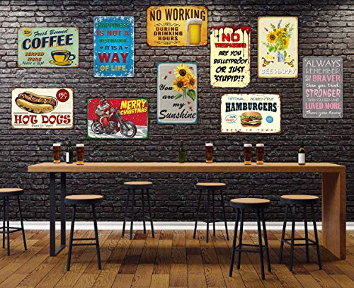 TOCMANE Fresh Eggs for Sale Hühnerstall, Blechschild, Metallposter, 20,3 x 30,5 cm – Bild 6