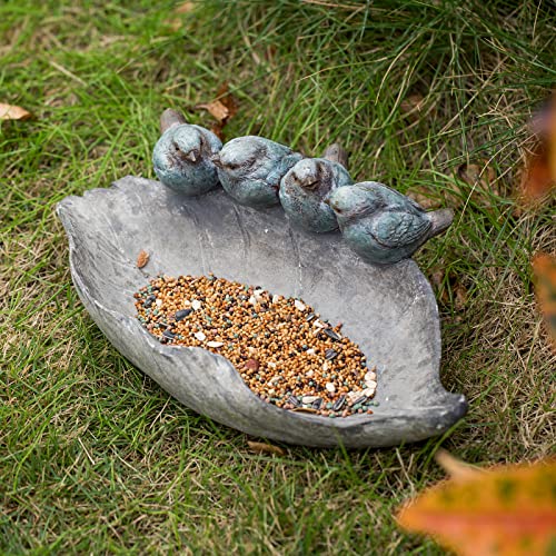 Newman House Studio Bird-Feeder Wild Bird-Bath Bowl Outdoors thumb #2