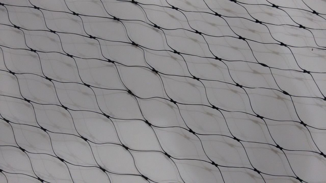 DJA Anti Bird Net Black Colour 12ft* 10ft