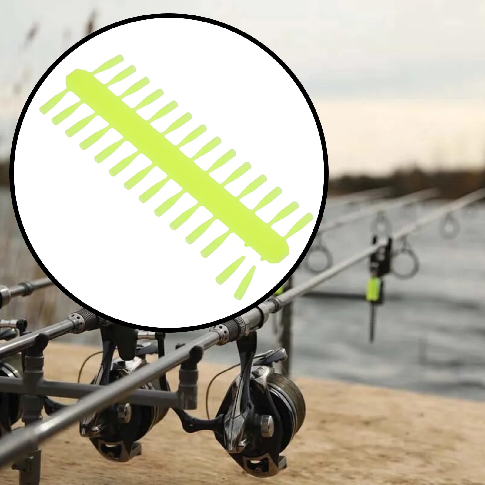 View 3