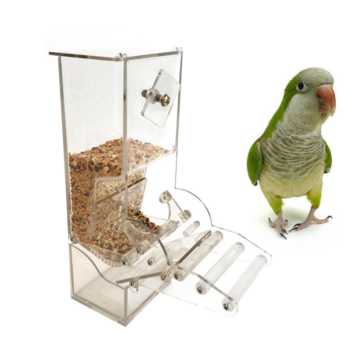 BESPORTBLE Mangiatoia Per Pappagalli in Acrilico Mangiatoia Per Uccelli Automatica Scatola Per Pappagalli e Uccelli Accessorio Per Gabbia Facile Da Installare e Pulire Piastra Regolabile Per