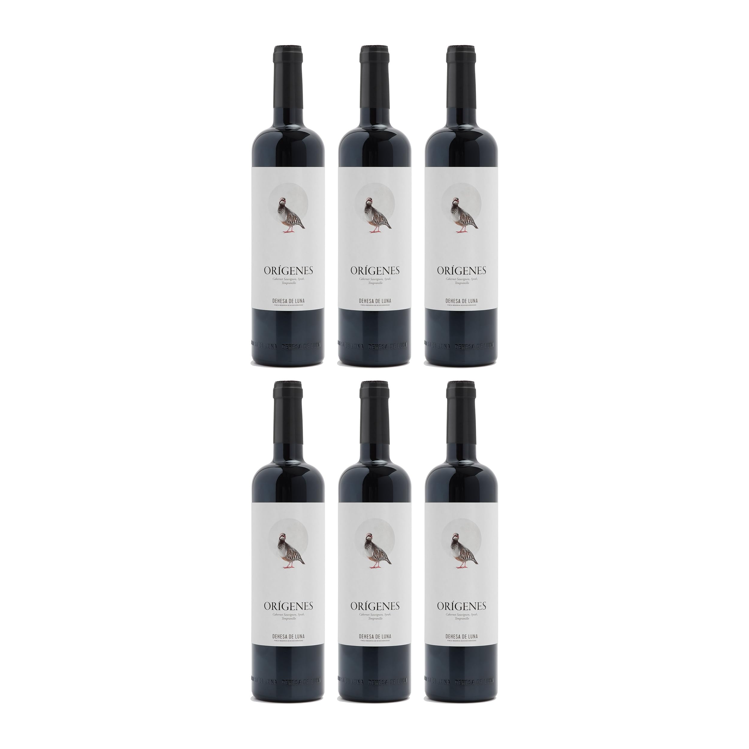Dehesa de Luna Origenes VdT Rotwein Rot trocken BIO Spanien inkl. FeinWert E-Book (6 x 0.75 l)