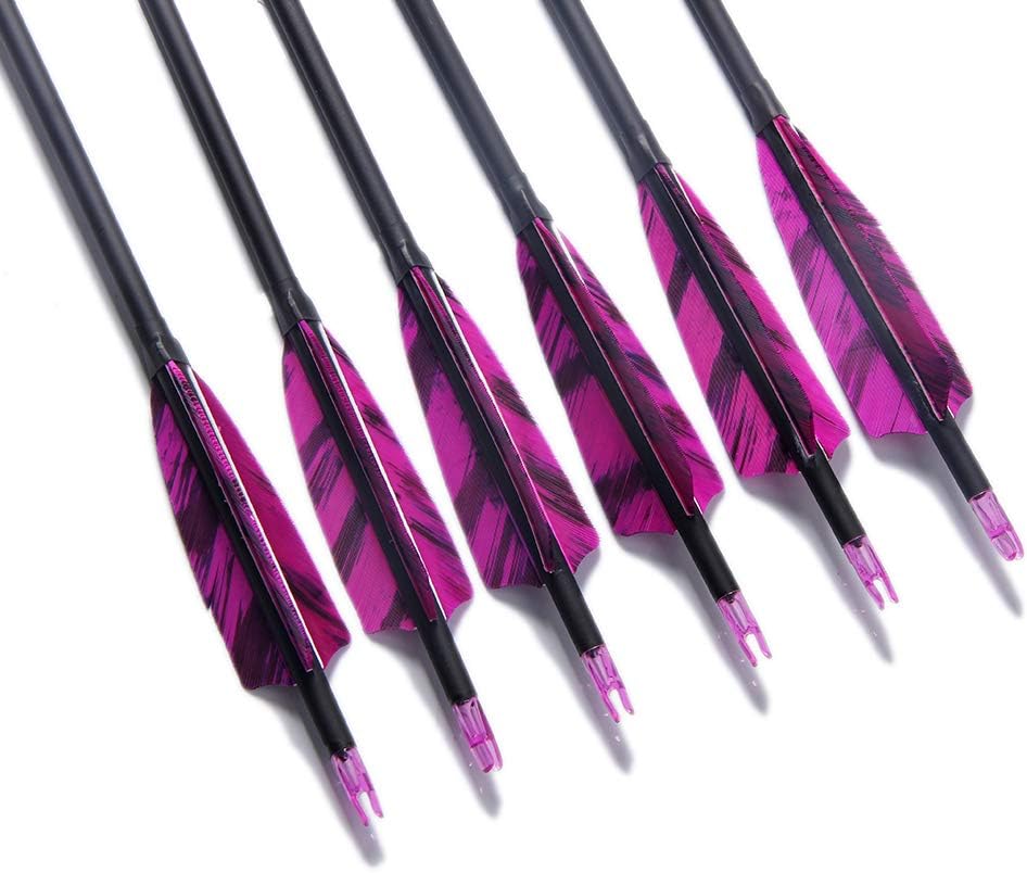31-Inch Carbon Arrows Target Practice Hunting Arrow with 4" Shield Fletching Spine 500 Arrows for Recurve Bow Longbow Compound Bow(Pack of 6)