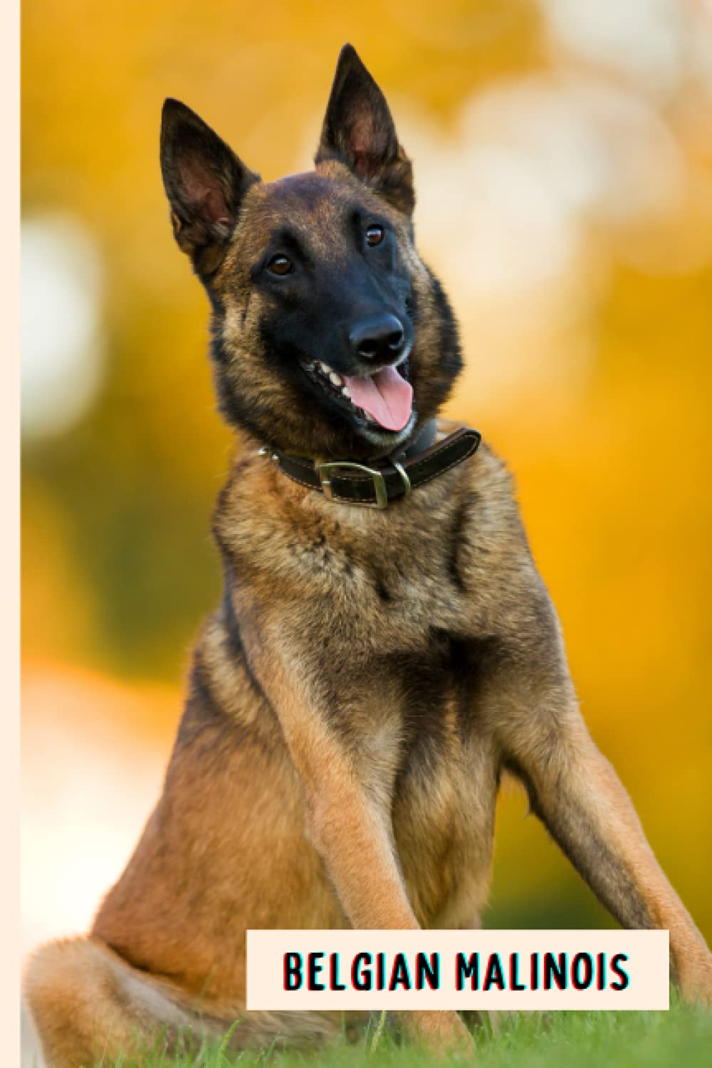 Belgian Malinois: Composition Notebook For Belgian Malinois Lovers , Belgian Malinois Lined Journal ,6x9 Inches , 110 Pages ,Belgian Malinois Diary