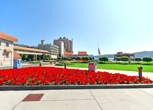 Miniatura 2 de Noah - Rompecabezas con vista de verano de The Coeur d'Alene Lakeside Resort and Park Along Lake Coeur d'Alene, en el interior noroeste de North
