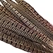 Outuxed 15pcs Pheasant Feathers 12-14 Inches (30-35cm) Natural Pheasant Tail Feathers for DIY Craft Wedding Home Party Decorations