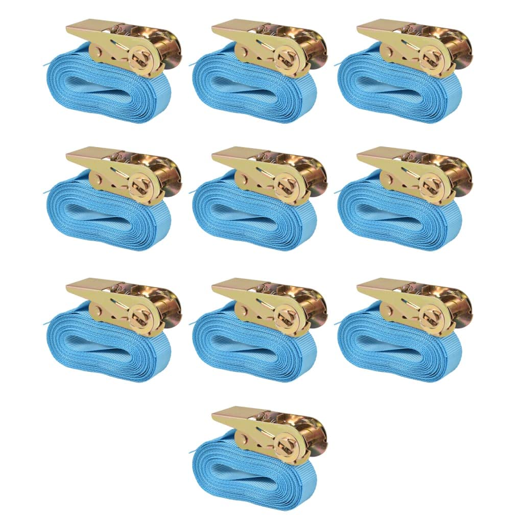 Cinghie di ancoraggio a cricchetto, 10 pezzi, 0,8 tonnellate, 4 m x 25 mm, blu, in poliestere, con cricchetto, per fissare carico, trasporto, campeggio, auto, rimorchio, moto, barca
