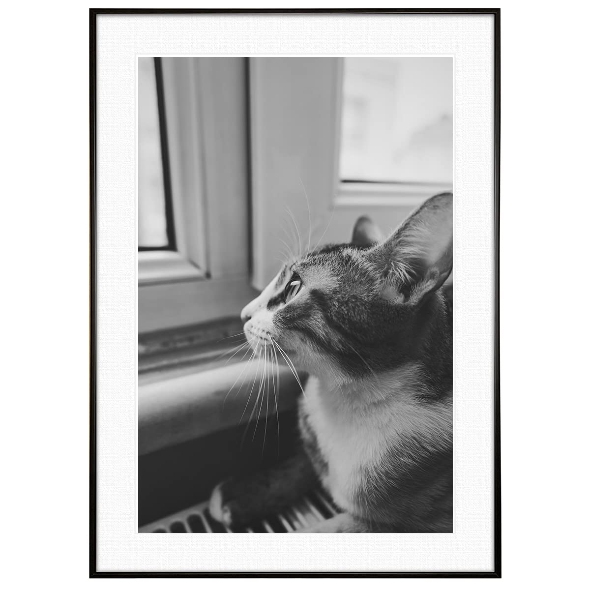 Amazon.co.jp: インテリアアート ポスター 動物写真 窓と猫 モノクロ
