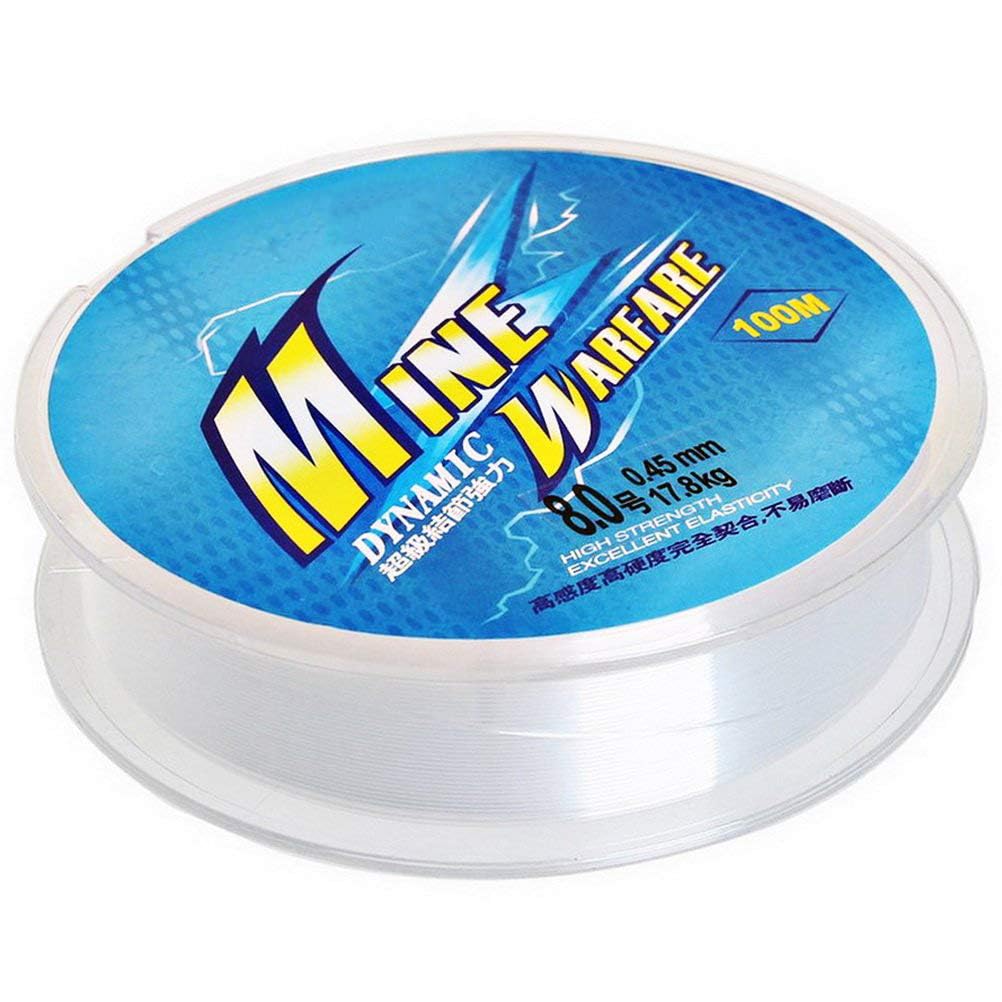 KASTWAVE Clear Fishing Line, Nylon Monofilament Fishing Wire Strong Fly Line Backing Craft DIY Tool