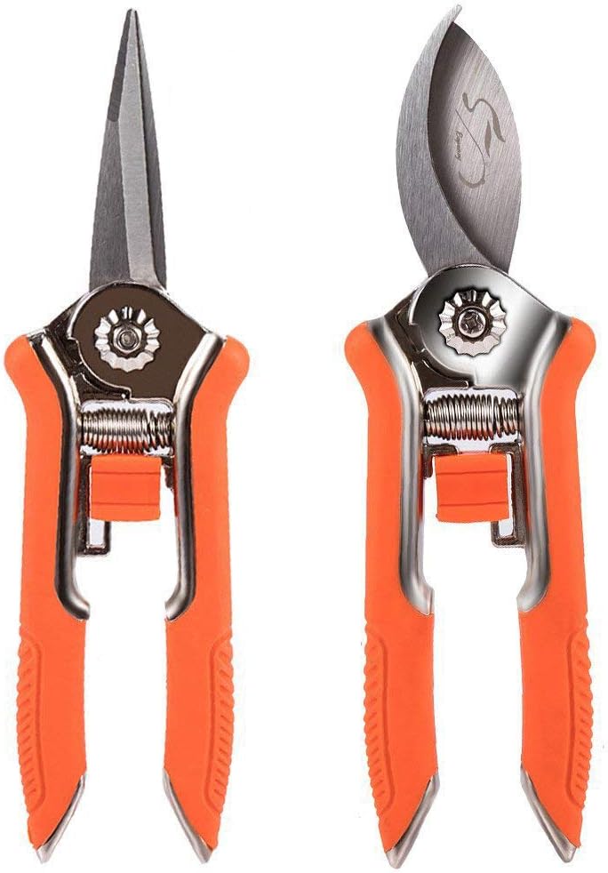 Lopunny Hand Pruner 2 Pieces Garden Tools Set Mini Pruning Bypass Shear and Micro-tip Trimming Scissors
