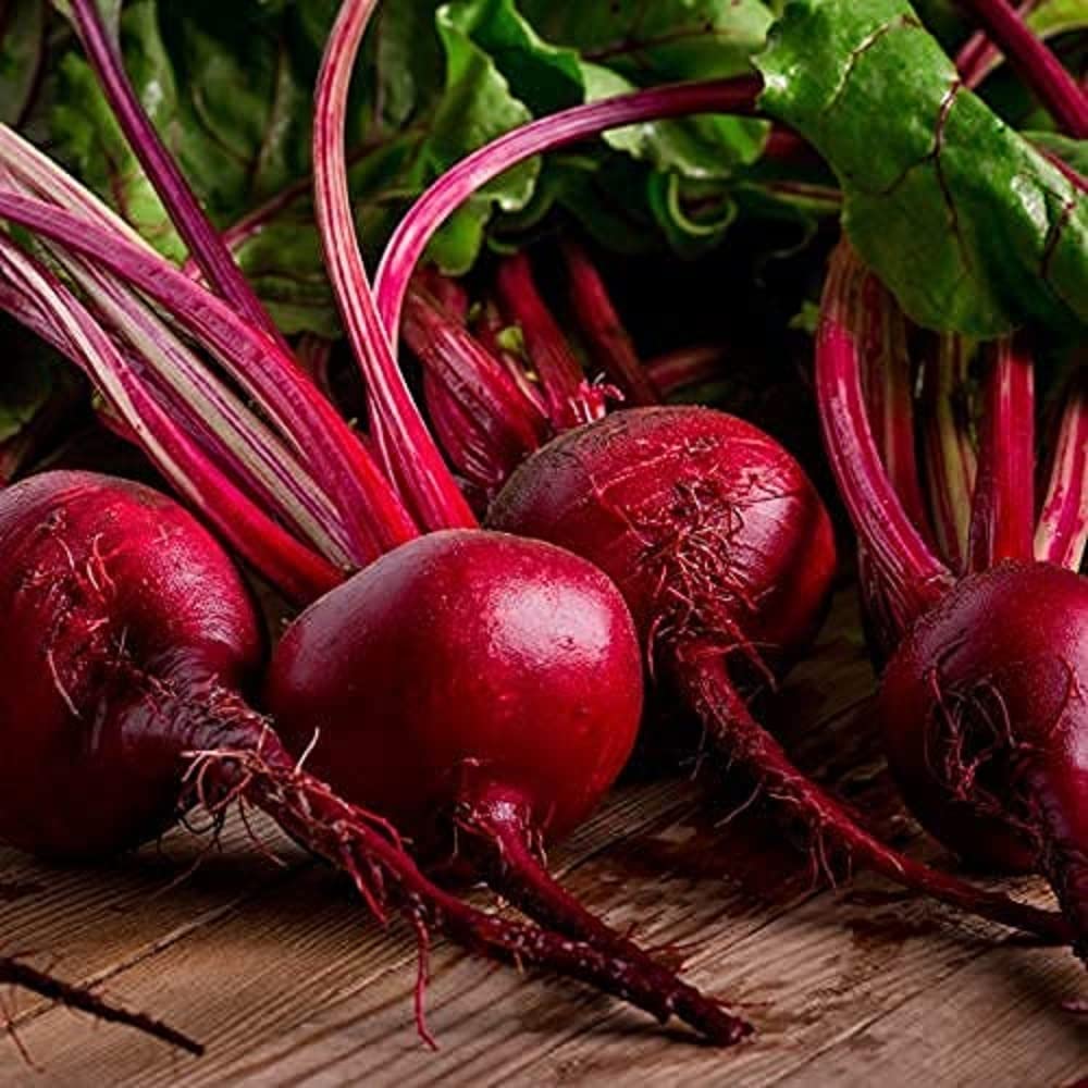 Beetroot Plants,'Mixed Selection', 24 x Full Plant Pack, Vegetable Plants, Garden Ready and Ready to Plant, Premium Quality Vegetables