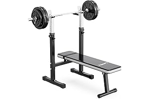 Adjustable Bench Press Squat Rack Folding Multi-Function Dip Station for Full Body Workout