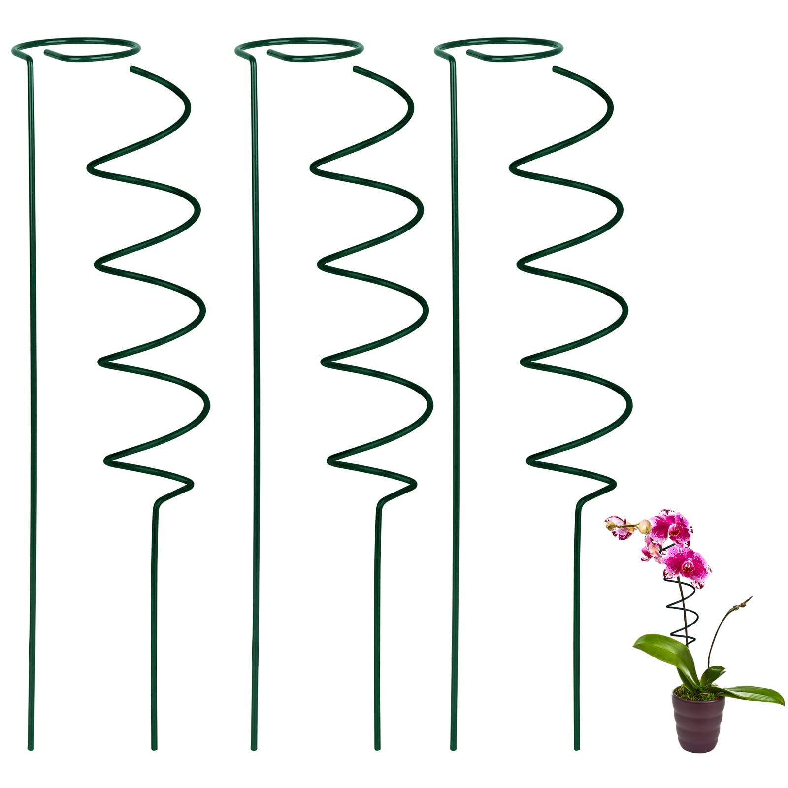 Buy WIVAYE Support Stakes, 3 Pack 16 Inch Single Stem Flower Stakes