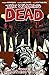 The Walking Dead: Something To Fear, Vol. 17