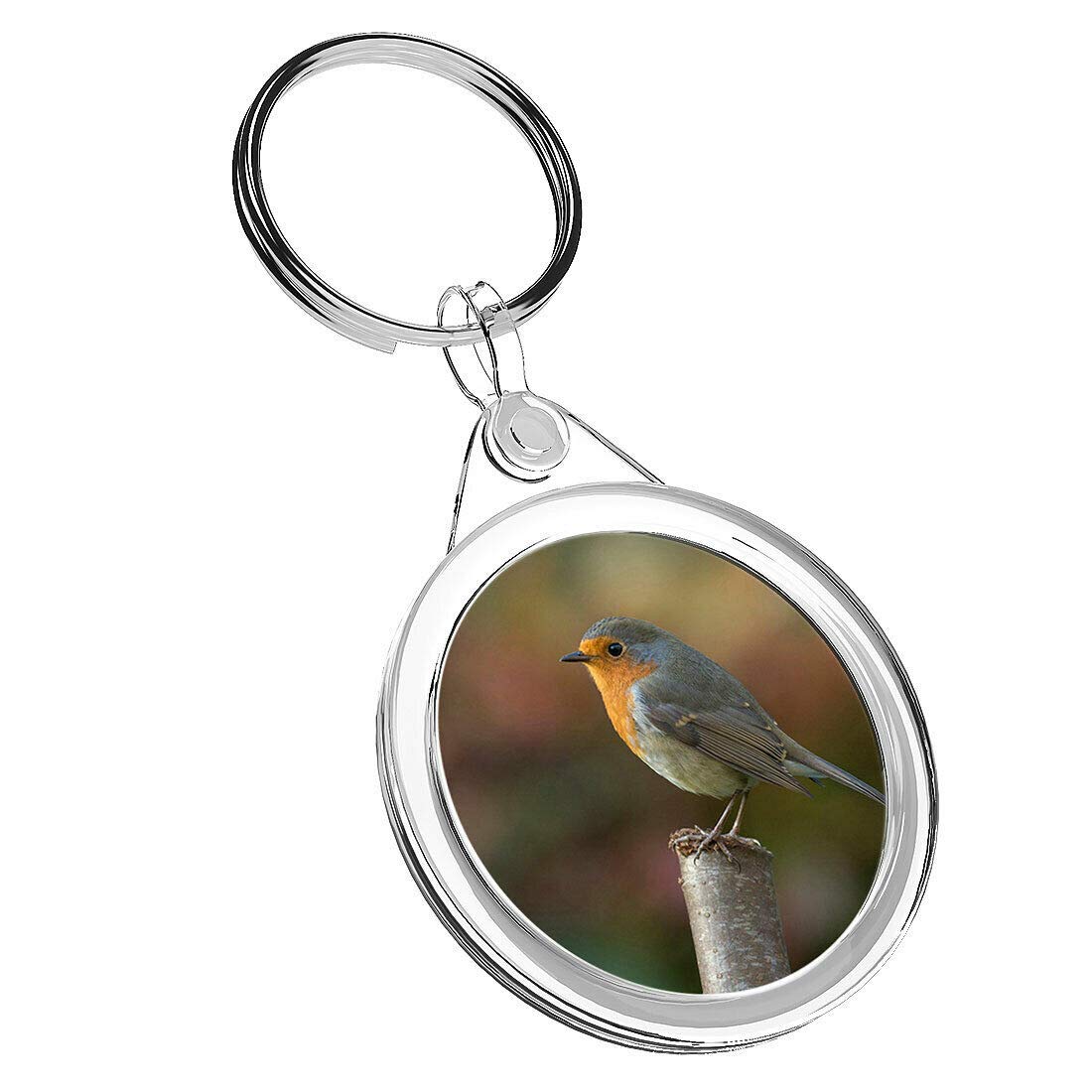 Destination Vinyl Keyrings Unisex Multi 1 X Robin Bird Wildlife - Keyring Ir02 Mum Dad Birthday Fun #13116