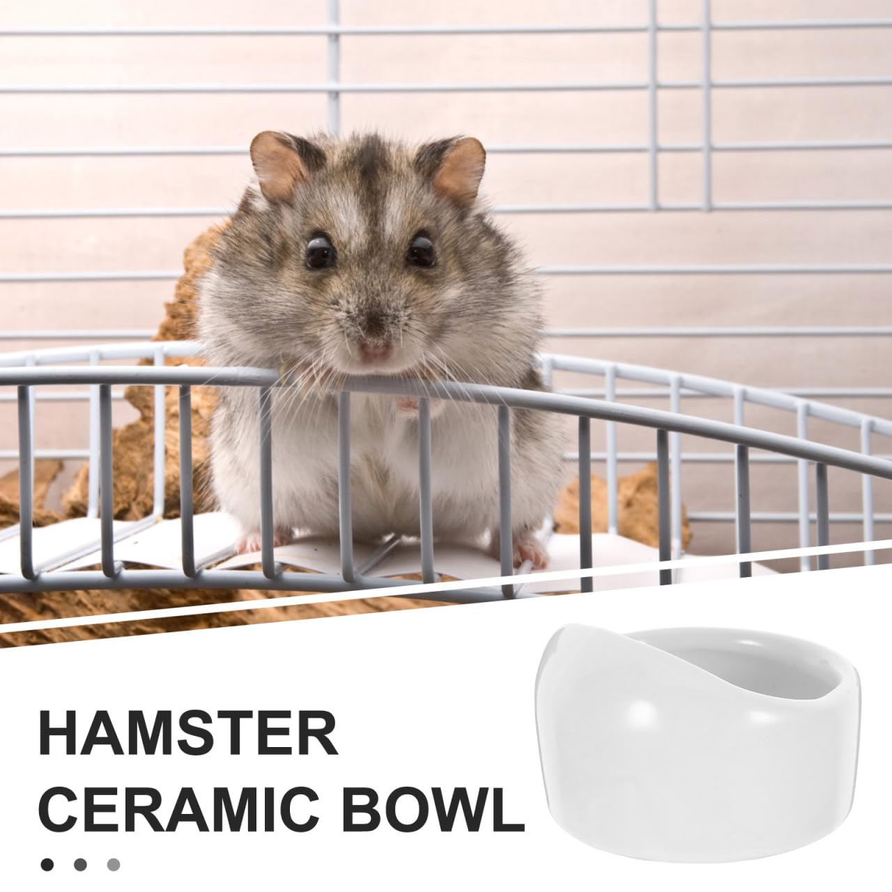 Ipetboom Hamster Keramikschale 2 Stück Hygienischer Futternapf Für Kleine Nagetiere Wie Zwerghamster Rennmäuse Meerschweinchen Leicht Zu Reinigen Anti- Schüssel Weiß