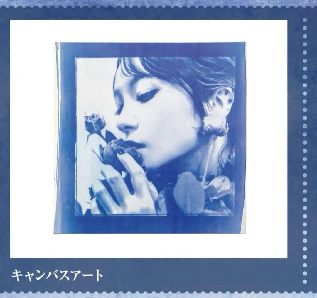 LiSA キャンバスアートパネル Amazon.co.jp: LiSA キャンバスアートパネル リサ グッズ