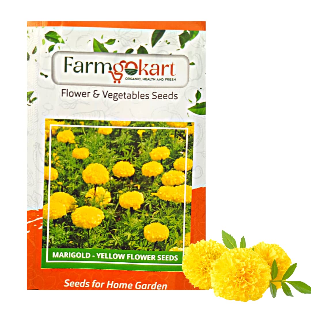 PACK OF 1000 SEEDS OF MARIGOLD - AFRICAN YELLOW FLOWER SEEDS | GROWER/NURSERY PACK FOR HOME AND PROFESSIONAL GARDENING | (B0BX6KKNL2) Amazon Price History, Amazon Price Tracker