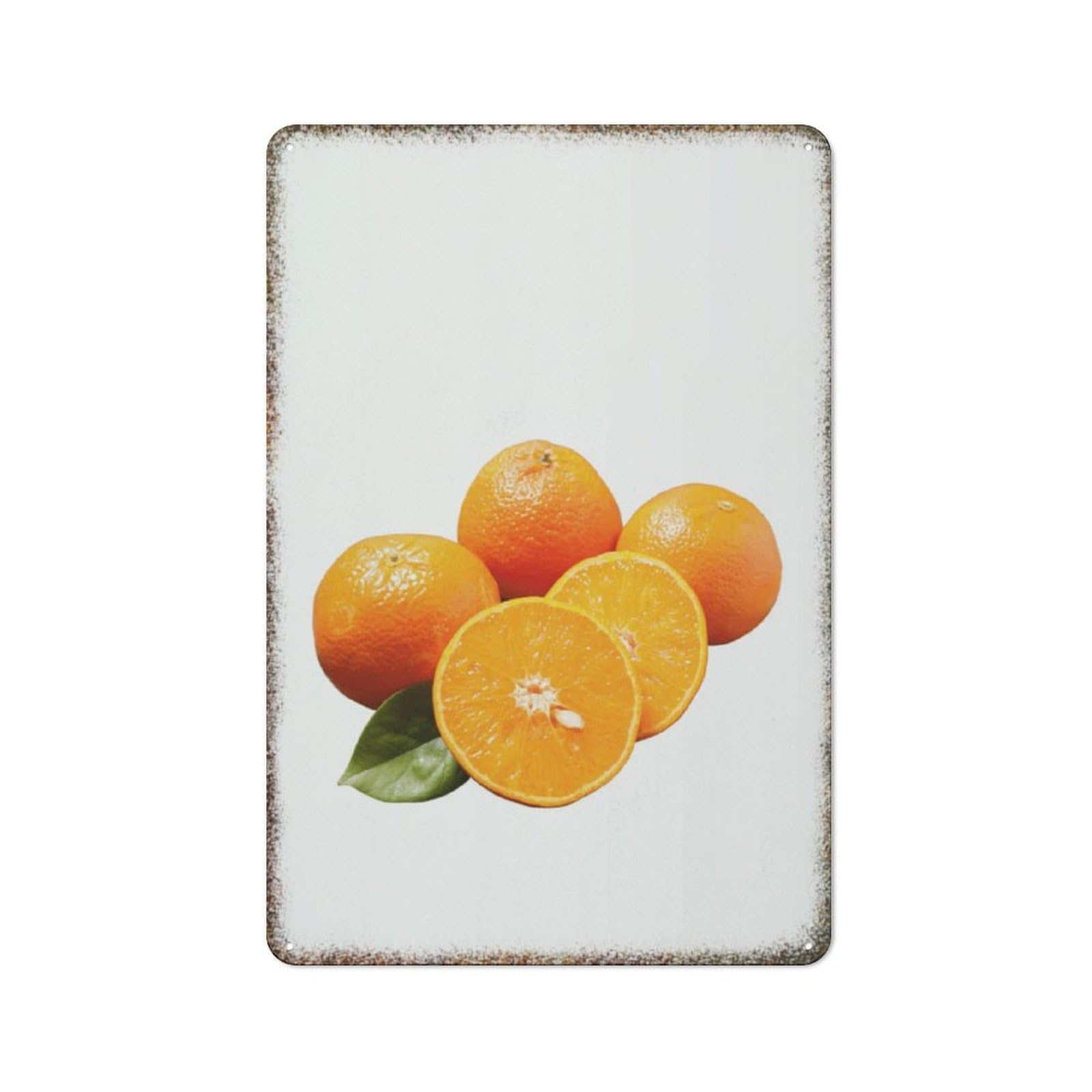 Fruit Prints Homeschool Nursery Room Farmhouse Retro Metal Guest Wall Art Sign 8x12 inch