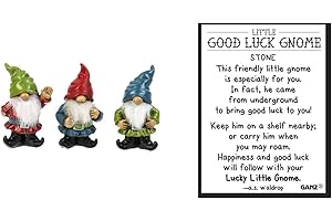 Positively Precious Tiny Gnome Pocket Token