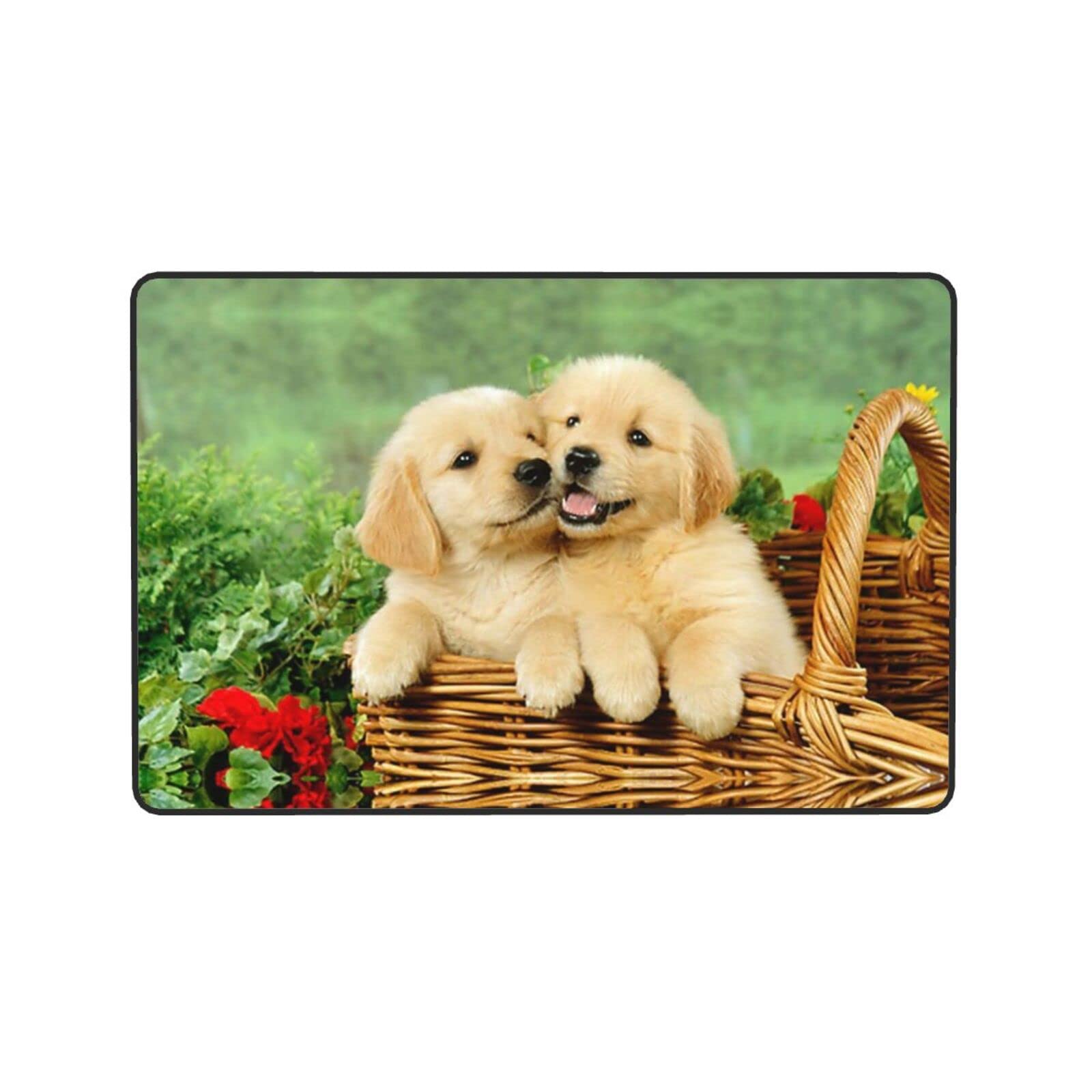 Amazon | OGNOT 子犬 ゴールデンレトリバー スーパーソフト 屋内