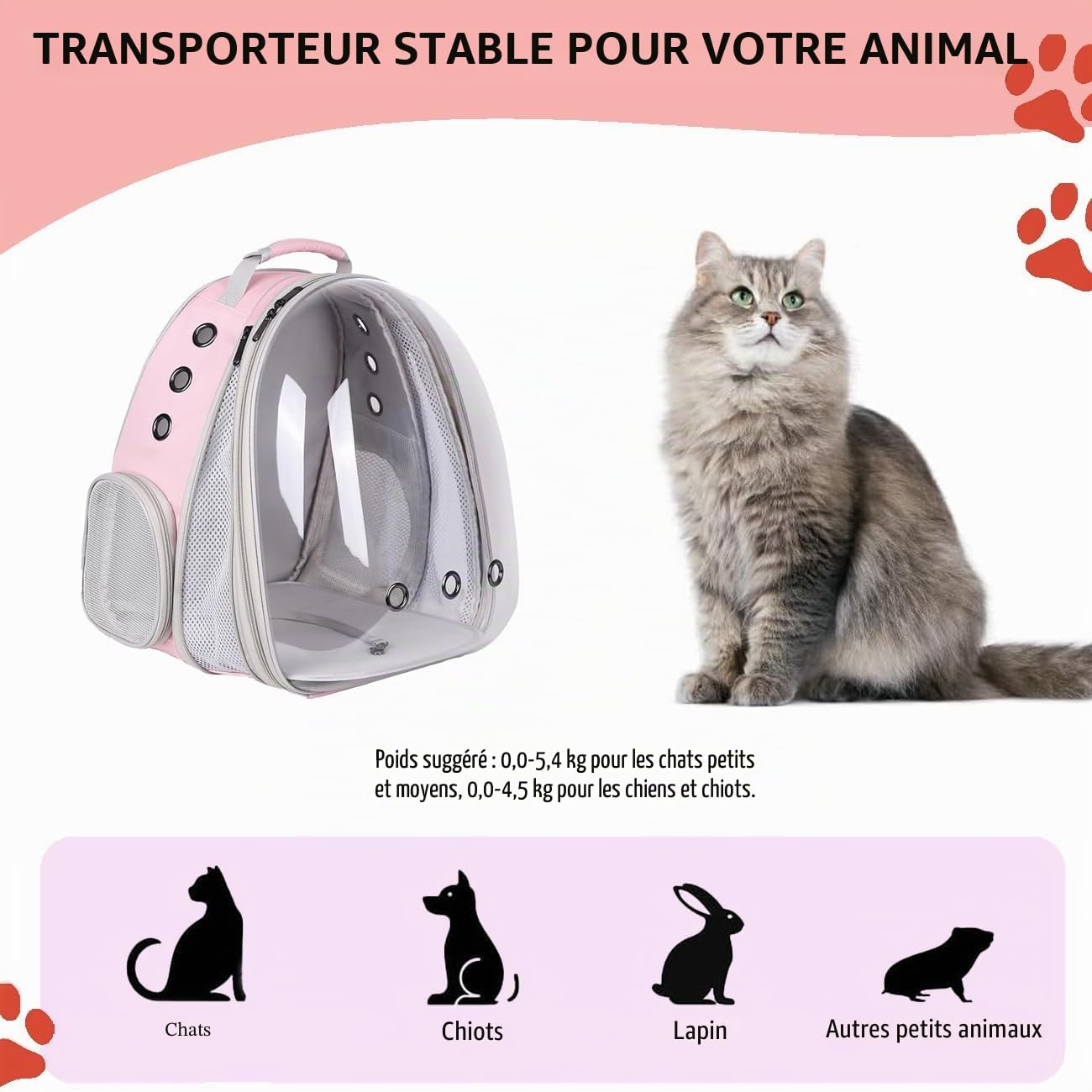 Sac Transport Chatet à l'arrière Extensible Transparent, Sac a Dos Chat Sac à Dos Chien, pour Petits Chiens et Chats, la Randonnée et l'utilisation en Extérieur (Rose, Front Expand)