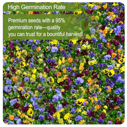 160000+ Wildflower Seeds Planting - 4oz Varieties Including Sunflower, Lavender, Zinnia & More, Attracts Bees & Butterflies, High Germination Rate, Easy to Grow for Garden, Balcony