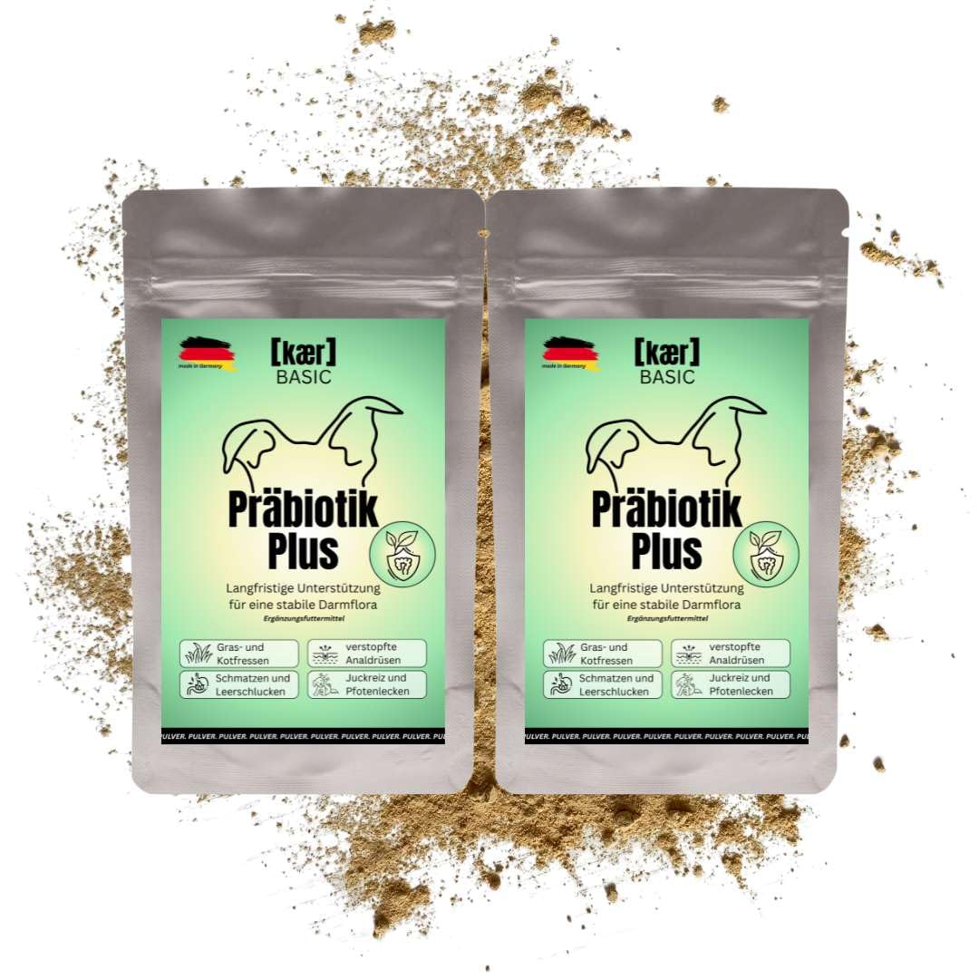 Lot de 2 poudres prébiotiques Plus pour chiens - 200 g - Probiotiques pour compléter l'alimentation - Pour développer la flore intestinale, les bactéries intestinales, la santé intestinale