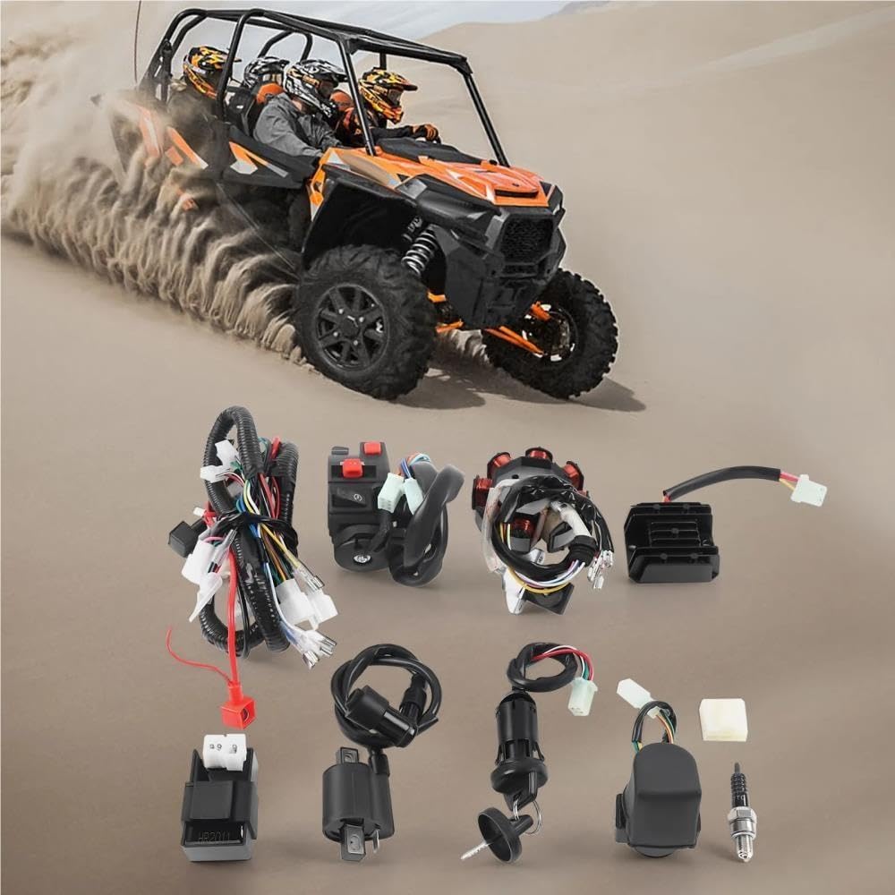 Motor kabelbaum Für QUAD 125-250CC Diesel Motorkabelbaum