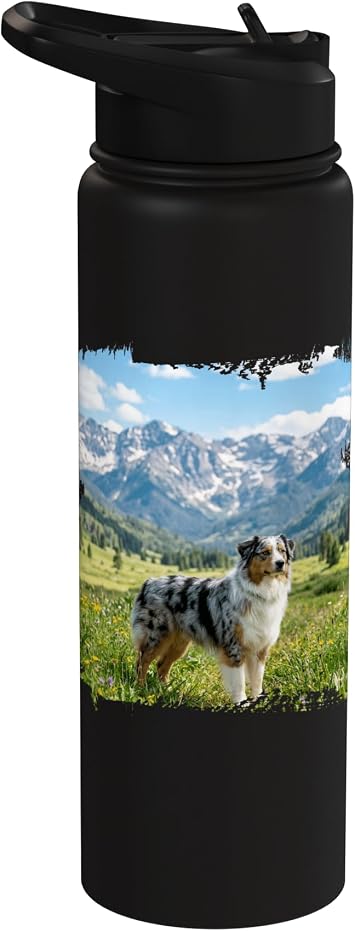 Australian Shepherd Mountain Meadow Scenic Alpine View Stainless Steel Insulated Water Bottle