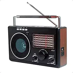 Rádio Am Fm Antigo Longo Alcance Para Zona Rural 11 Bandas Bluetooth Usb Sd Made in Vale (Marrom)