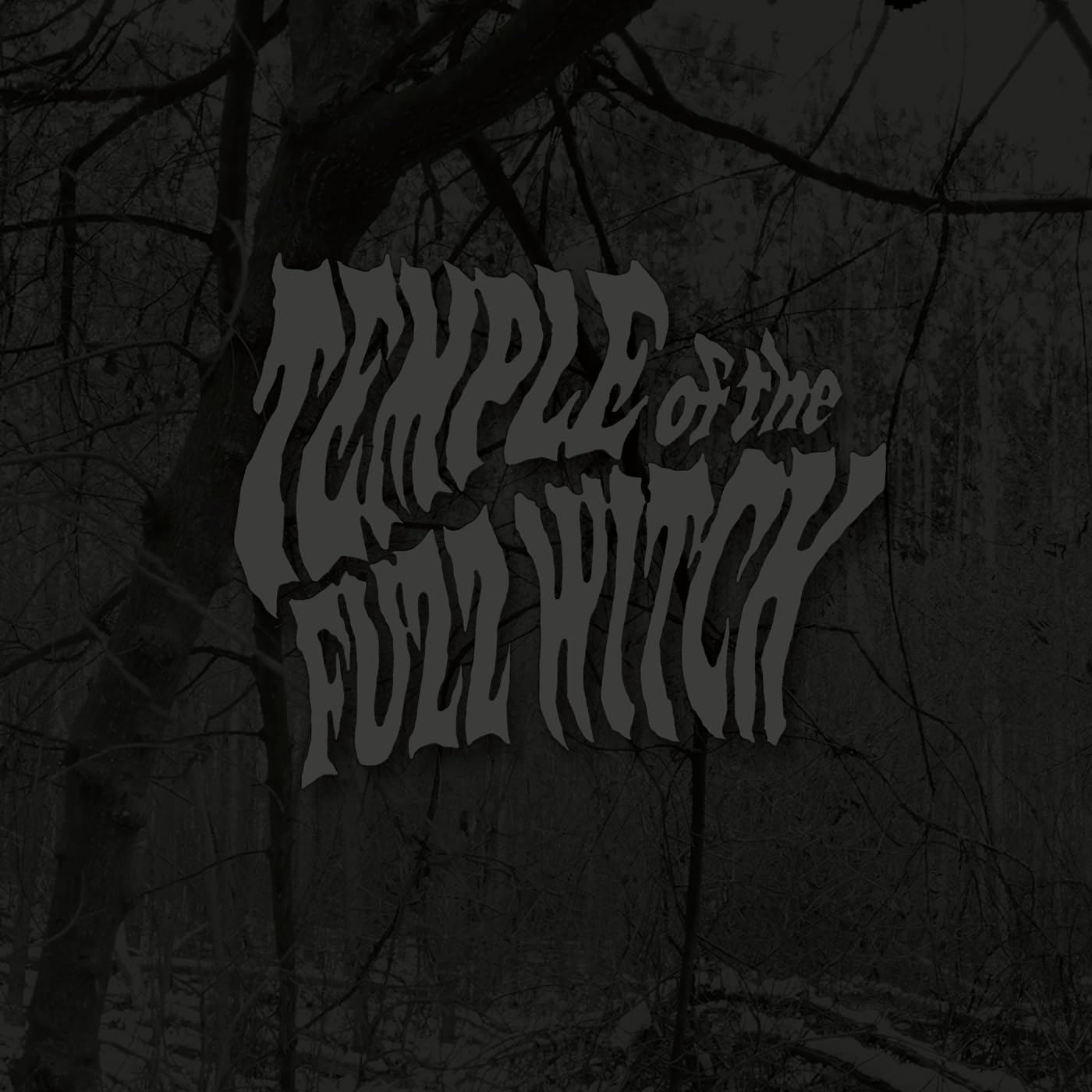 Temple Of The Fuzz Witch [VINYL]