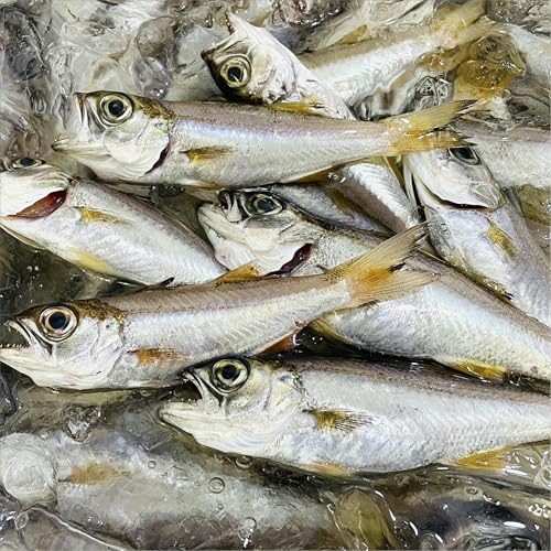 ނ (Ⓚ)1kgy͘pcYzlꂽĂ}ⓀAgAؒЂAۊɁyⓀցz