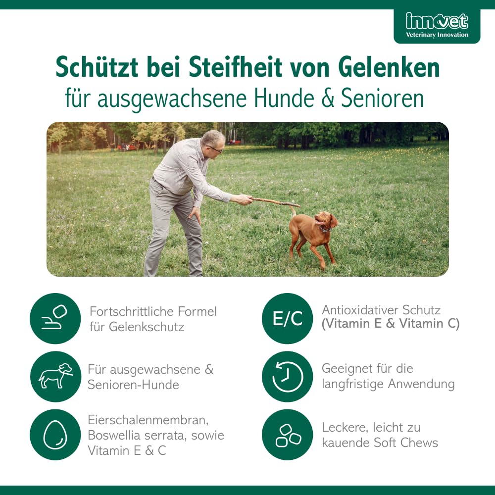 Condrostress Mobility Soft Chews für Gelenkunterstützung bei Hunden, 90 St. | Für Knorpelstoffwechsel & Beweglichkeit, Mit Eierschalenmembran, Boswellia Serrata & Vitamin C + E, Erwachsene & Senior Hunde